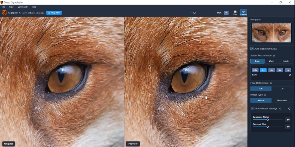 Topaz Gigapixel AI Portable